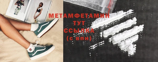 соль ск Дмитриев