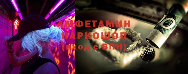 сатива Елабуга