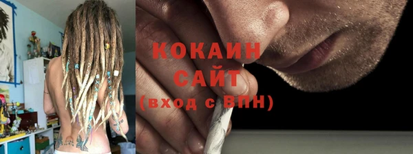соль ск Дмитриев