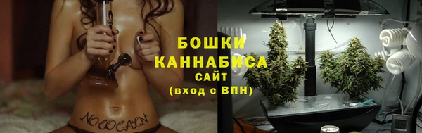 стафф Дмитровск