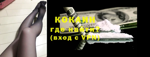 дживик Долгопрудный