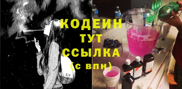 соль ск Дмитриев