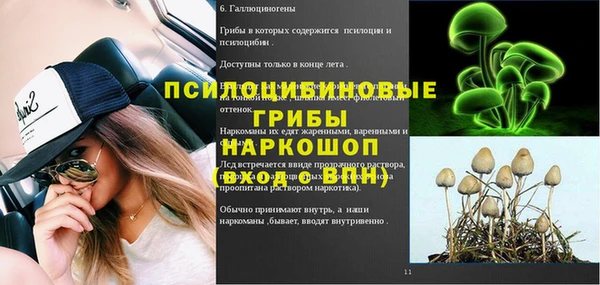 соль ск Дмитриев
