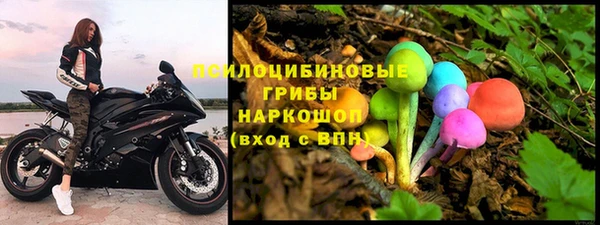 стафф Дмитровск