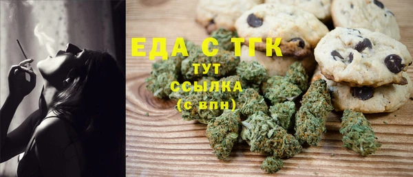 соль ск Дмитриев
