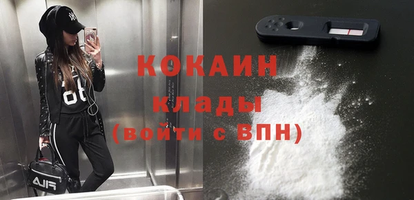 стафф Дмитровск