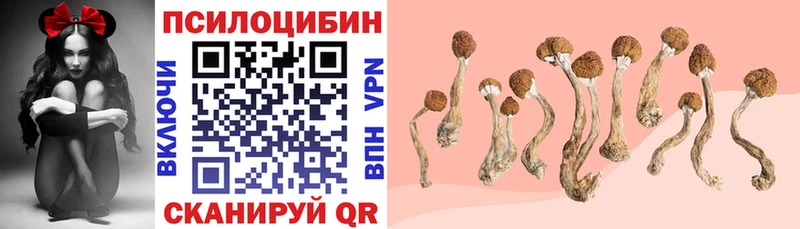 Купить  Мичуринск  Галлюциногенные грибы мицелий 